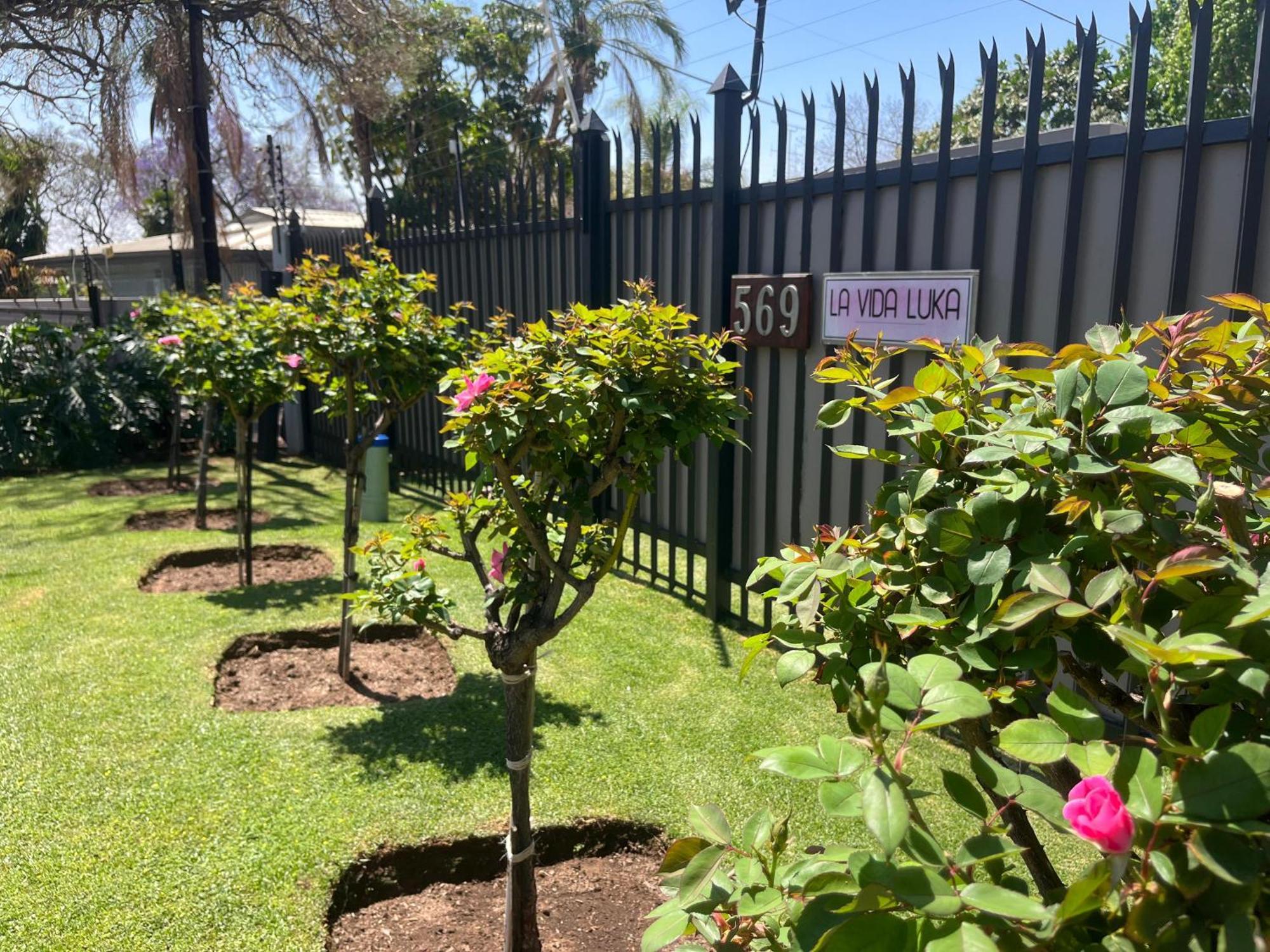 La Vida Luka - Luxury Guesthouse Pretoria-Noord Exteriör bild