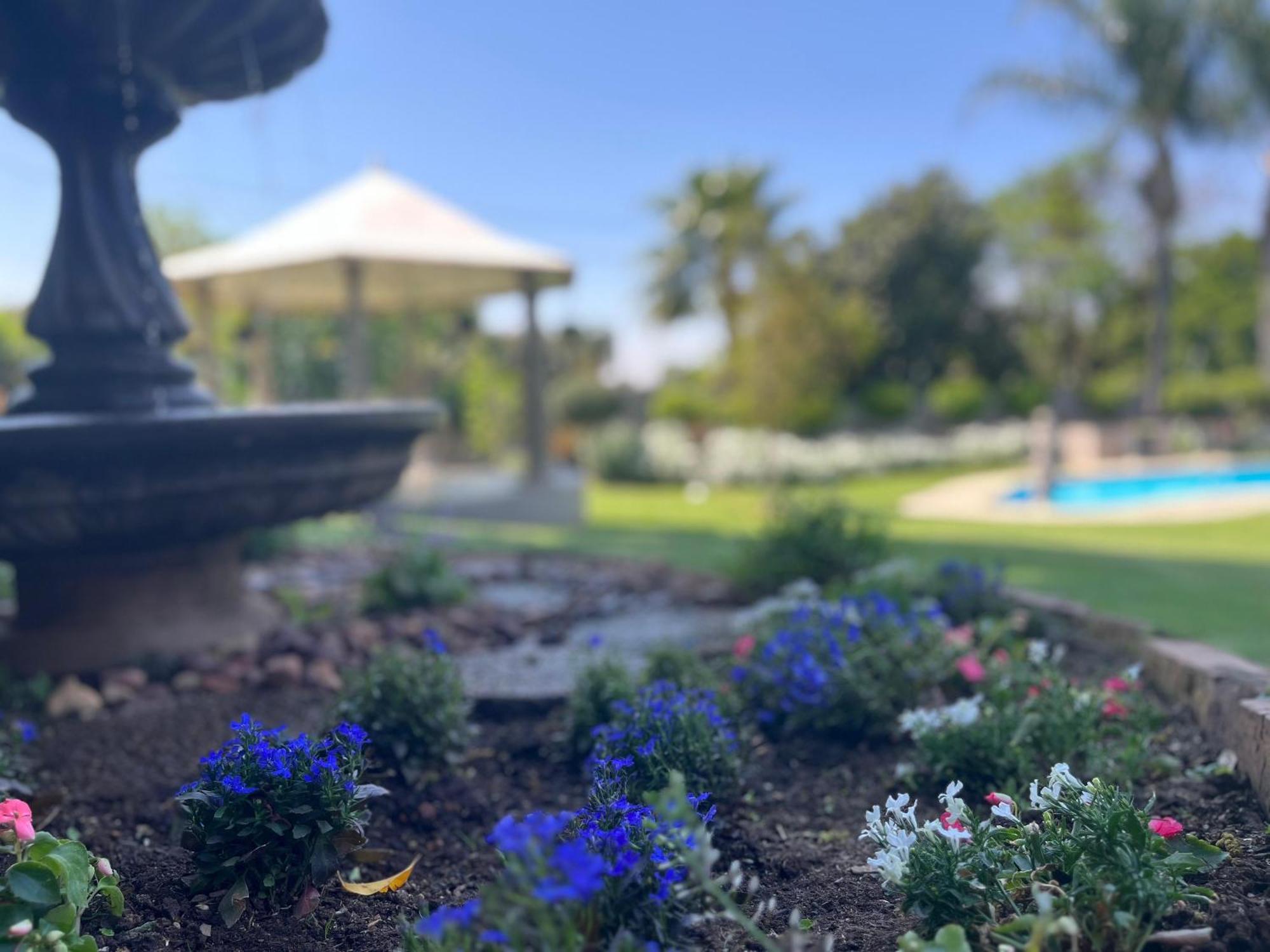 La Vida Luka - Luxury Guesthouse Pretoria-Noord Exteriör bild
